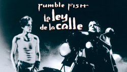 Curiosidades de... LA LEY DE LA CALLE