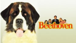 Sagas del 7º Arte... BEETHOVEN UNO MAS EN LA FAMILIA Sagas del 7º Arte... BEETHOVEN UNO MAS EN LA FAMILIA